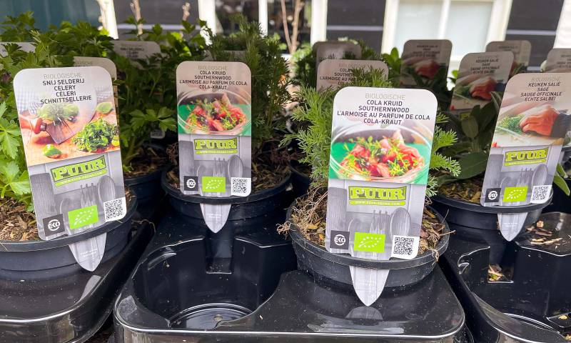 Potten met biologisch gekweekte kruiden